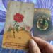 The Little Prince Image
